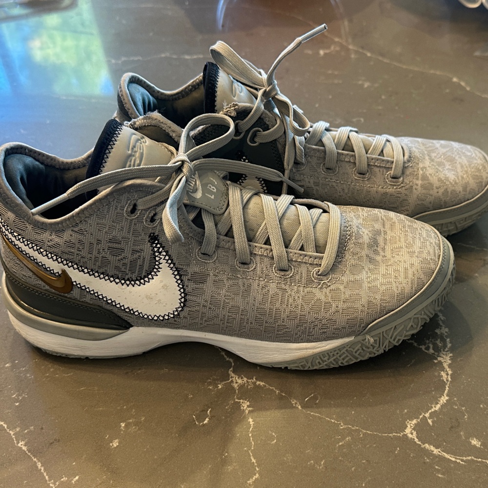 Nike Zoom Lebron NXXT size 9.5 men’s